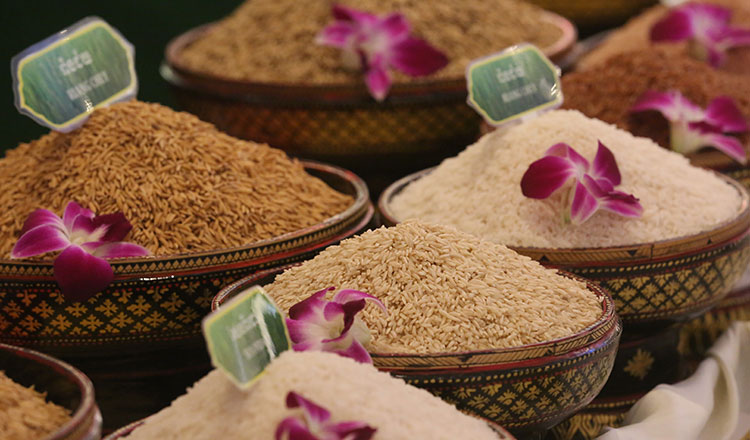 12 Cambodian rice firms to attend international food fair in France